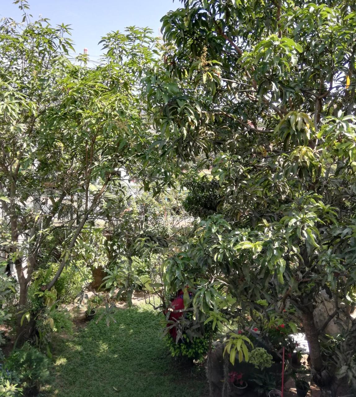 Nisadi Villa Bentota Exterior photo